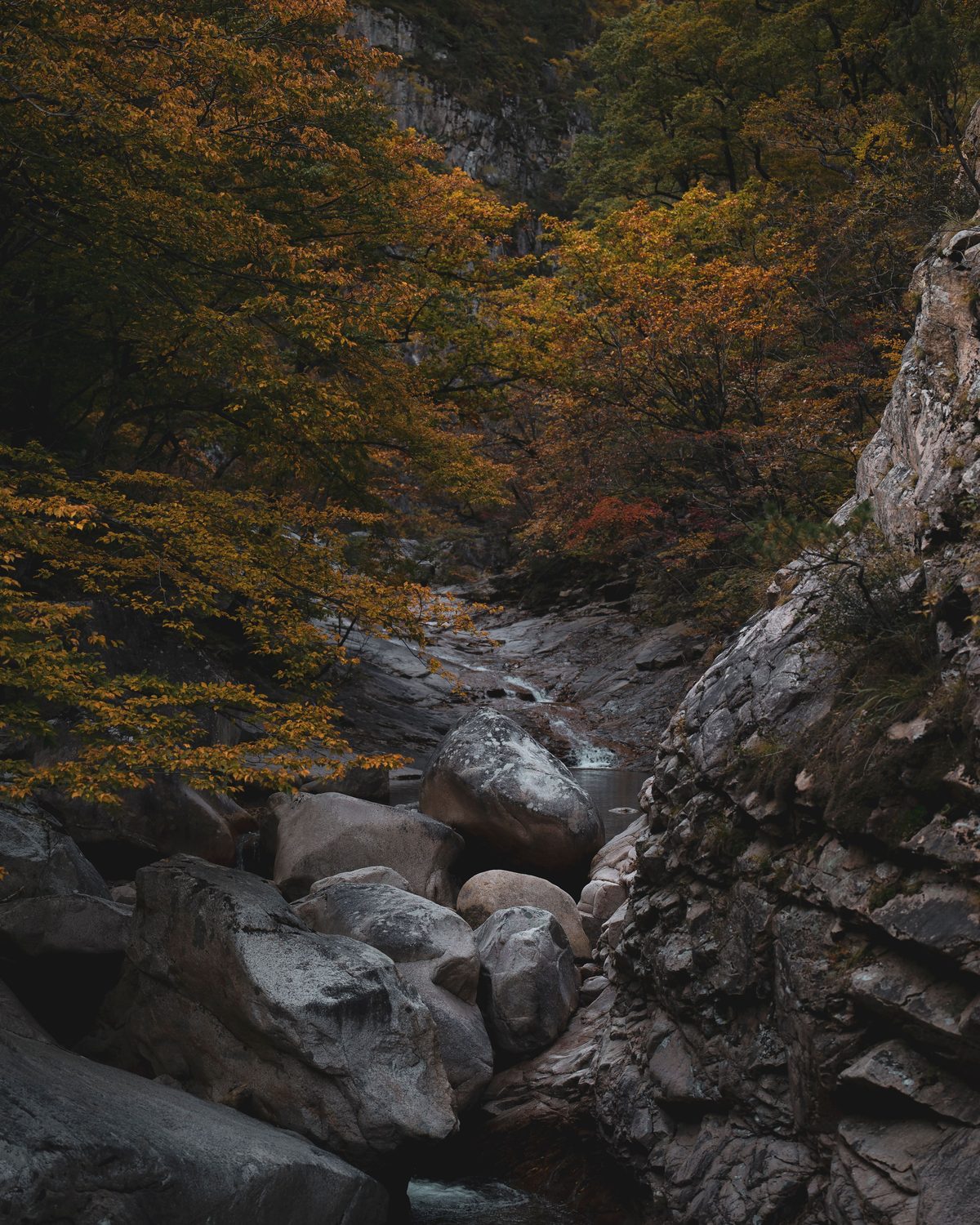 Korean mountain stream over rock, autumn forest — Concept Project / Stock Imagery, not the actual property surroundings